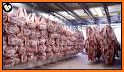 Pork processing related image