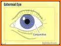 Easy Ophthalmology Atlas related image
