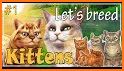 Pregnant Cat Kitty Pet Games related image