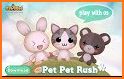 Pet Pet Rush related image
