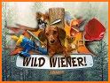Wild Wiener! related image