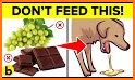 Can Dogs Eat It? related image