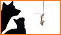 Games for Cats! - Cat Fishing Mouse Chase Cat Game related image