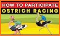 Ostrich race 3D related image
