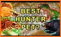 Pet Wow related image
