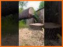 Tree Cut related image