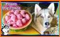 Frozen Pet Ice Cream Desserts & Icy Drinks related image