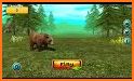 Wild Bear Family Simulator related image