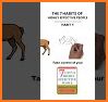 Book Summary related image