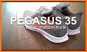 Pegasus Run related image