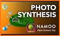 NAMOO - Wonders of Plant Life related image