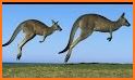 Kangaroo Evolution - Make Mutant Marsupials related image