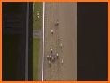 Horse Racing News related image