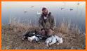 Snow Goose Game Call related image
