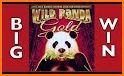 Panda Slots - Free Slot Casino related image