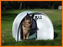 Outdoor Dog House related image