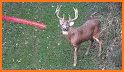 Deer Hunter 2021 related image