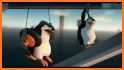 Penguins Jump Escape related image