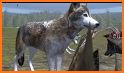 Wolf Simulator 2020: Animal Family Sim Games related image