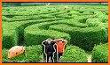 Grass Maze related image