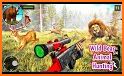 Wild Bear Animal Hunting 2021 Animal Shooting Game related image