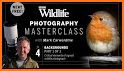 Wildlife Photographic Magazine related image
