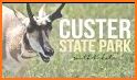 Custer State Park related image