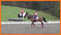 Learn A Dressage Test Board related image