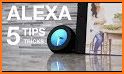 alexa echo dot tips for asking Alexa related image