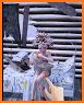 Solitaire story: Home Decor related image