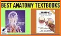 Body Anatomy (Netter) related image