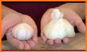Garlic Rescue related image