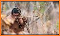 Jungle Deer Hunter 2020 related image