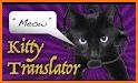 Human-to-Cat Translator related image
