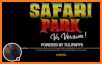 Safari Tours Adventures VR 4D related image