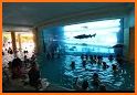 Vegas Pool Sharks related image