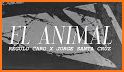 Animal Caro related image