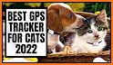 CAT Tracker related image
