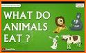 Animals Eat related image