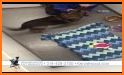 Kennelwood Pet Resorts related image