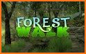 Forest Live Wallpaper related image