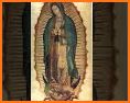 Virgen De Guadalupe Fondo Animado Gif related image