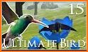 Bird Box UnLock --- Virtual - v Games related image