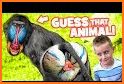 Games for kids of Zoo Animals related image