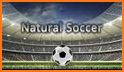Natural Soccer - Fun Arcade Football Game related image