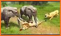 Jungle Lion Simulator: Lion Attack Animal Games related image