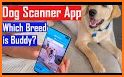 Dog Scanner - Puppy related image