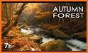 Autumn Ambience HD related image