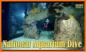 National Aquarium related image