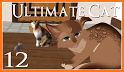 Ultimate Cat Simulator related image